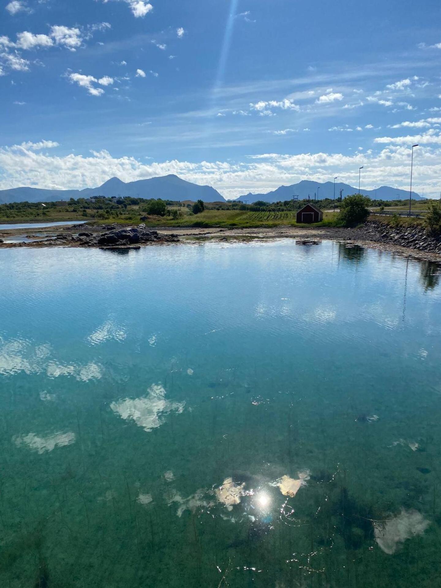 Rorbu By Nappstraumen, Lofoten Villa Gravdal  Exterior photo